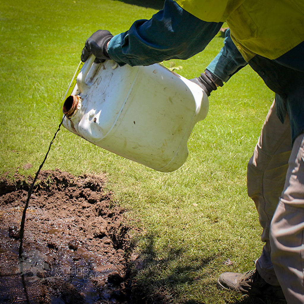 Lawn Care