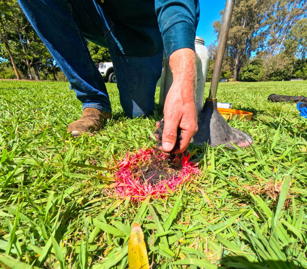 lawn care