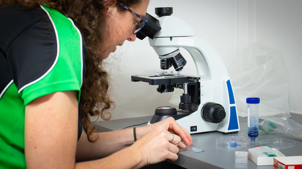 TREE SCIENCE & DIAGNOSTICS