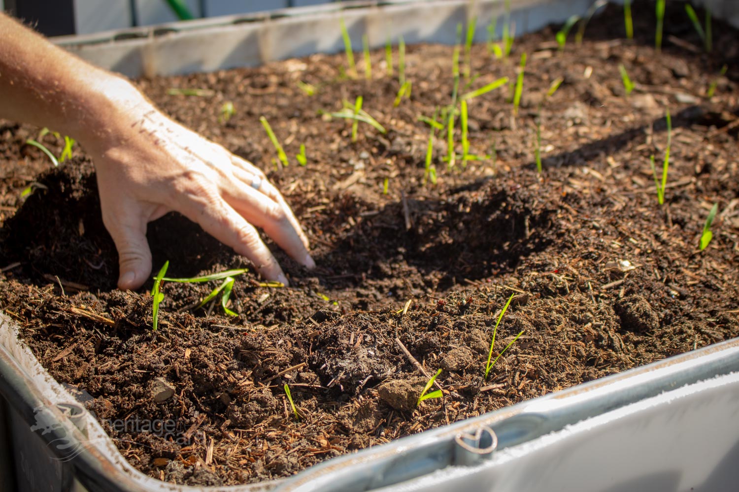 SOIL & PLANT HEALTH